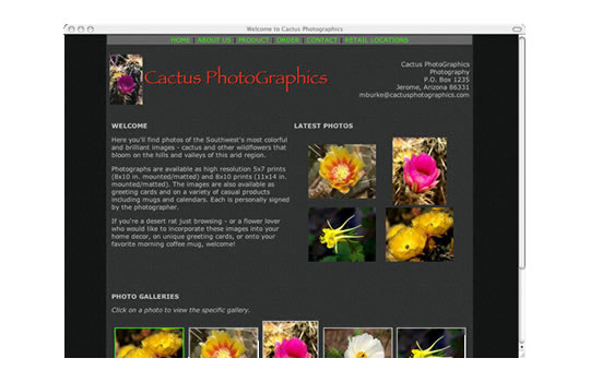 Cactus Photos